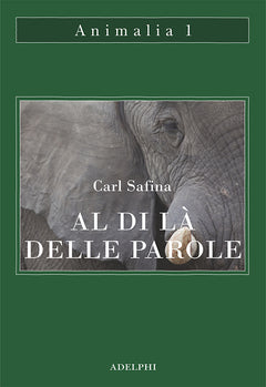 Al di là delle parole