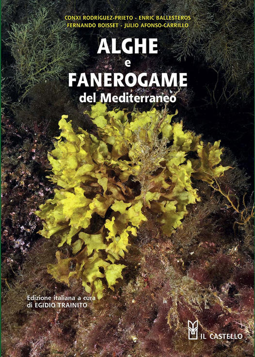 Alghe e fanerogame del mediterraneo