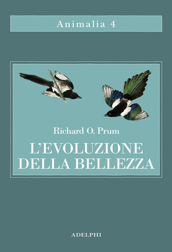 L' Evoluzione della bellezza