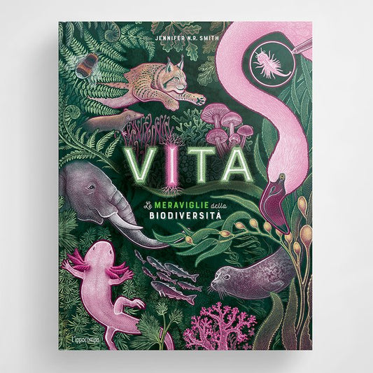 Vita