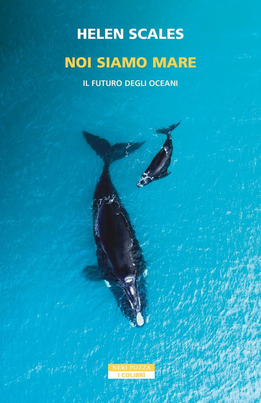 Noi siamo mare