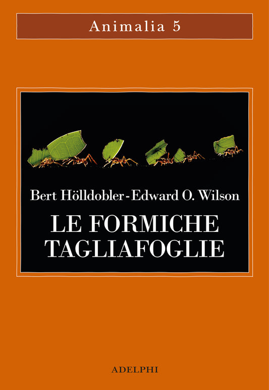 Le formiche tagliafoglie