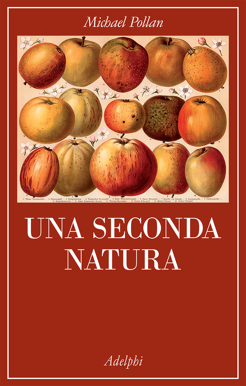 una seconda natura