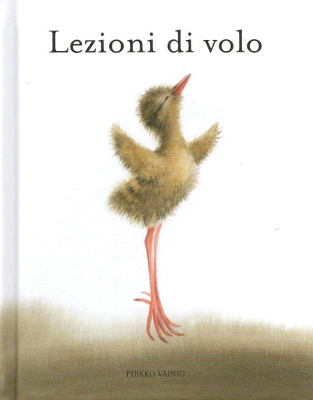 Lezioni di volo