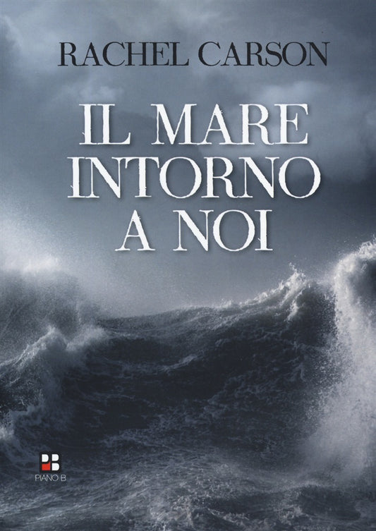 Il Mare intorno a noi