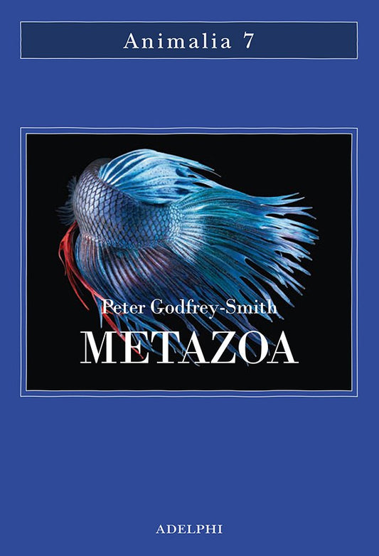 Metazoa