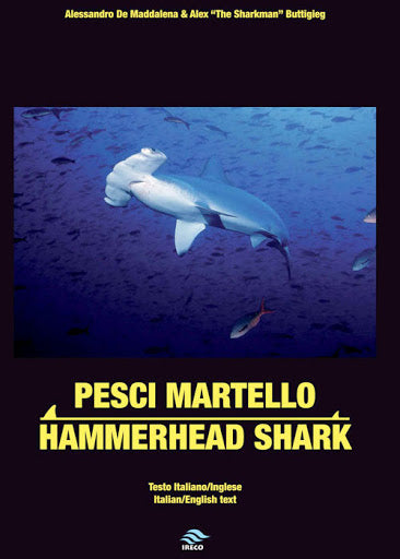 Pesci martello