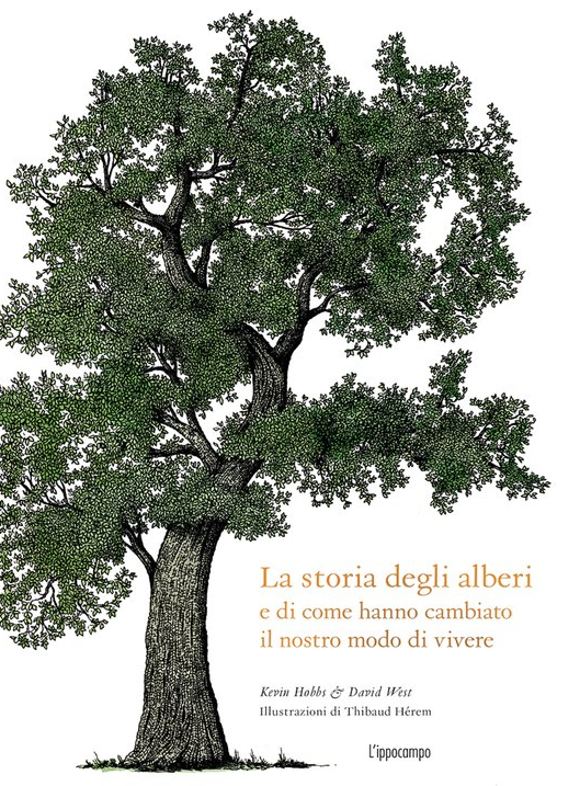 Storia degli alberi e di come hanno cambiato il nostro modo di vivere