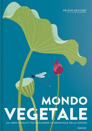 Mondo vegetale