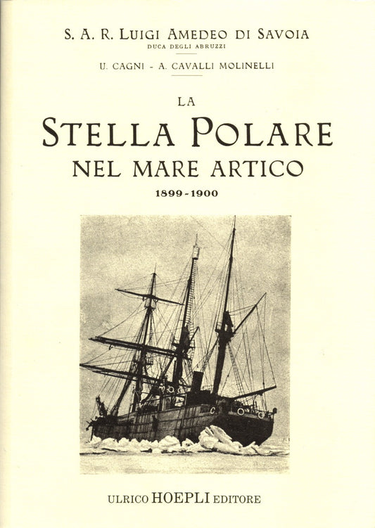 Stella polare nel mare artico