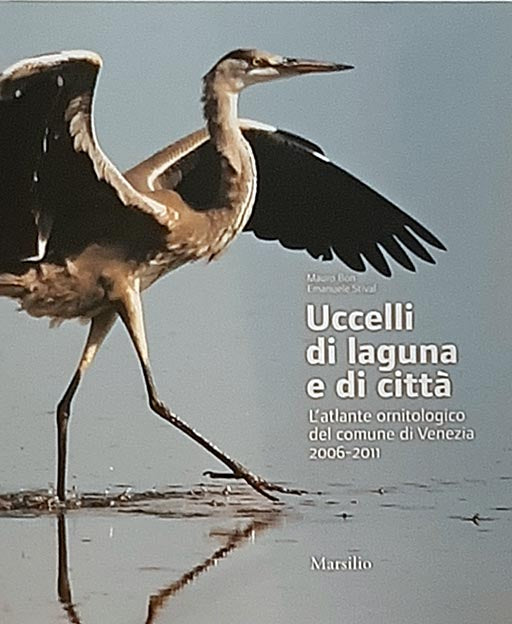 Uccelli di laguna e di citta'